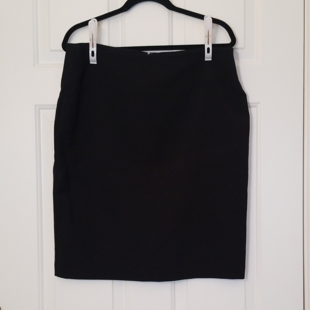 ALFANI skirt
